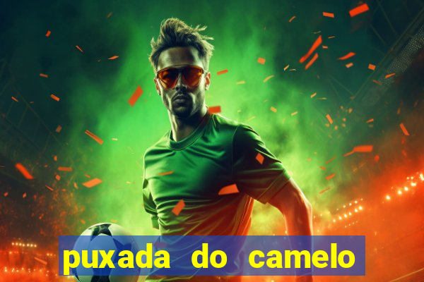 puxada do camelo jogo do bicho